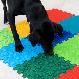Covoraș de masaj senzorial pentru câini "Puzzle Mix" 8 module Fizioterapie pentru câini