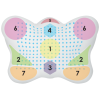 Antirid pernă ortopedică moale și anti-îmbătrânire Ortek "Butterfly SOFT" J2539